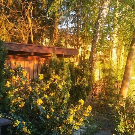 Lodge Nad Jeziorem
